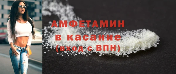стаф Верея