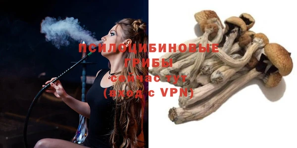 тгк Мегион