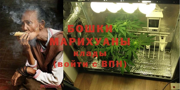 стаф Верея