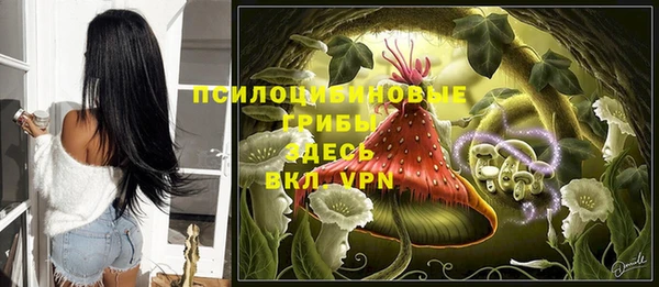 Альфа ПВП Медвежьегорск