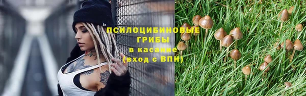 тгк Мегион