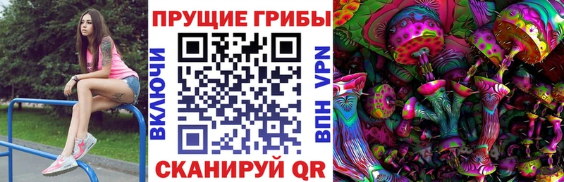 хочу Новоаннинский Галлюциногенные грибы Magic Shrooms